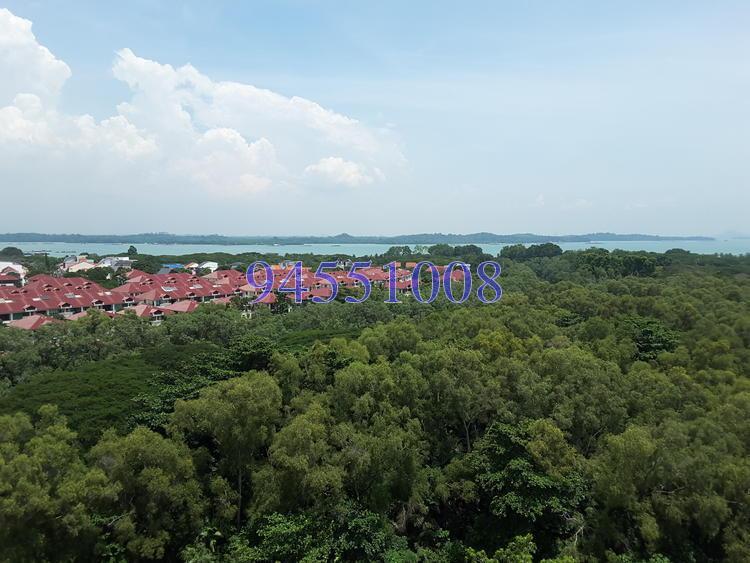 Blk 505 Pasir Ris Street 52 (Pasir Ris), HDB Executive #130962722